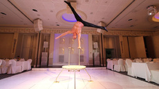 Handstand equilibristic - Circus Acts - CircusTalk