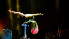 Pole dance - Circus Acts - CircusTalk