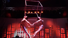 Duo Aerial Cube - Circus Acts - CircusTalk