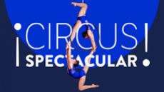 CIRCUS SPECTACULAR: On Demand - Circus Shows - CircusTalk