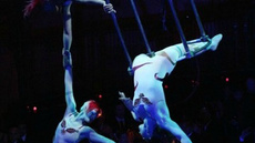 La Cage Trio - Circus Acts - CircusTalk
