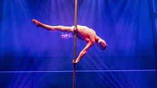 Flying Pole / Aerial Pole - Jeka Dehtiarov - Circus Acts - CircusTalk