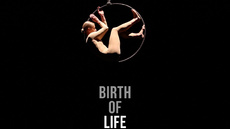 Aerial Hoop Solo Act | &quot;Birth of Life&quot; - Circus Acts - CircusTalk