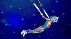 Aerial Bungee - Circus Acts - CircusTalk