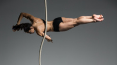 Aerial rope act - Circus Acts - CircusTalk