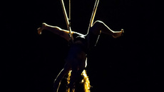 the music of the abyss - Circus Acts - CircusTalk