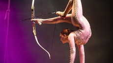 Daniella Arata Quiroga - Handbalancing Act - Circus Acts - CircusTalk