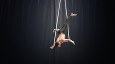 Aerial Straps - Circus Acts - CircusTalk