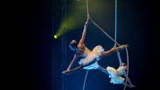Spanish Web (Ballerinas) - Circus Acts - CircusTalk