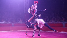 acrobatic group - Circus Acts - CircusTalk