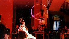 The girl on the table - Circus Acts - CircusTalk