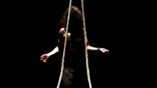 Bellydance  - Circus Acts - CircusTalk