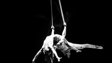 Duo Spirit - Circus Acts - CircusTalk