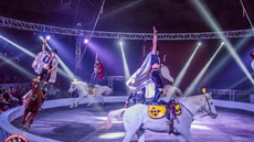 Kambarov riders  - Circus Acts - CircusTalk