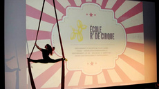 Preview of Dumbo - Circus Shows - CircusTalk