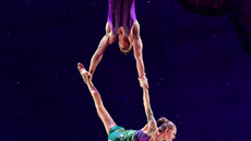 Duo Trapeze/Adagio/Dance - Circus Acts - CircusTalk