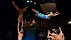 Same Same but Different  - Circus Shows - CircusTalk