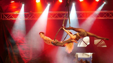 P&L Funtasy - Circus Acts - CircusTalk