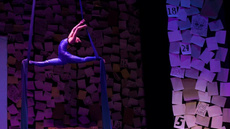 Aerial silks Gabriela Carrera - Circus Acts - CircusTalk