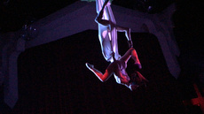 trio. voice and hammock - Circus Acts - CircusTalk