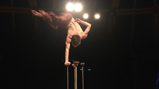 Nestor solo act - Circus Acts - CircusTalk