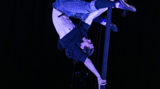 Aerial Pole - Circus Acts - CircusTalk