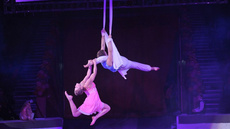 Aerial silks duo - Circus Acts - CircusTalk