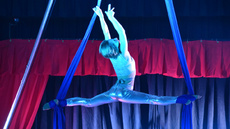 Silks - Circus Acts - CircusTalk