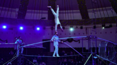 Tight Rope act - Circus Acts - CircusTalk
