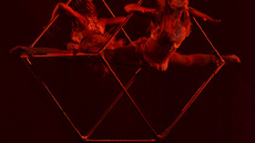 Aerial cube duo - Circus Acts - CircusTalk