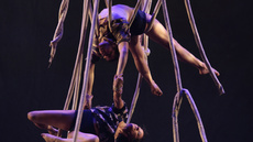 Las Raíces Flojas - Circus Shows - CircusTalk