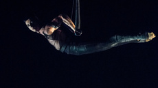 Trois - Swinging trapeze - Circus Acts - CircusTalk