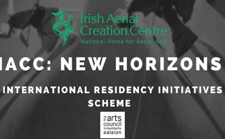 NEW HORIZONS - International Residency Initiatives Scheme