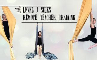 Level 1 Silks Remote Teacher Training UK Timezone