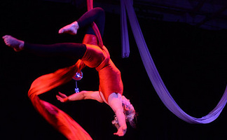 4 Week Professional Circus Course