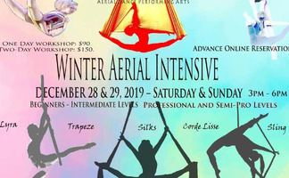 Winter Aerial Intensive