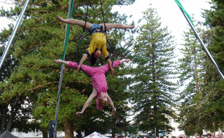 Seriously! Circus – Acrobatics, Tightwire & Aerials 