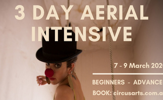3-DAY AERIAL INTENSIVE