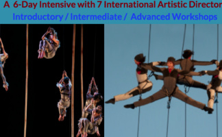 Vancouver International Vertical Dance Summit