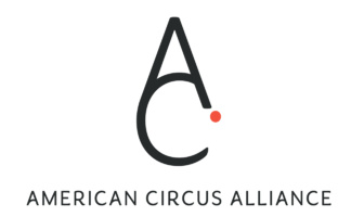 Returning to Play: A Discussion with Circus Professionals