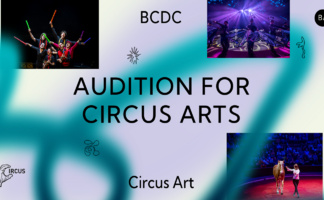 Hungary debuts Bachelor of Circus Arts program at HE level