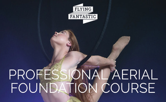 Professional Aerial Foundation Course