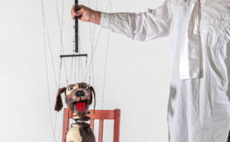 Puppetry Intensive
