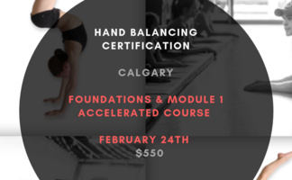 Hand Balancing Foundations and Module 1