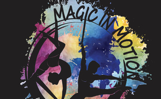 Magic In Motion Aerial Arts Fest Competition
