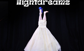 DayMares and NightDreams: A Surreal Circus